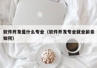 软件开发是什么专业（软件开发专业就业前景如何）