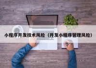 小程序开发技术风险（开发小程序管理风险）
