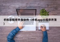 手机小程序开发软件（手机app小程序开发）
